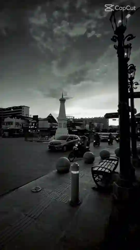 Aesthetic Capcut Template Video
