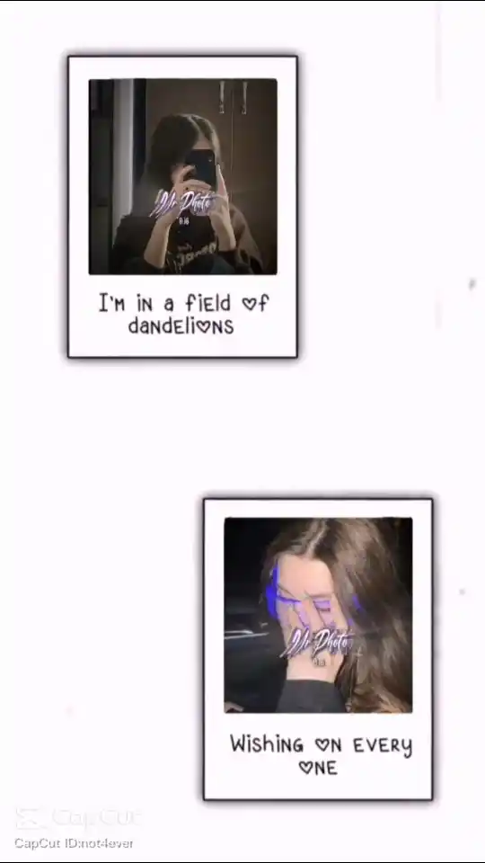 Dandelions Capcut Template Video