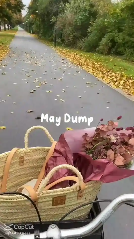 May Dump Capcut Template Video