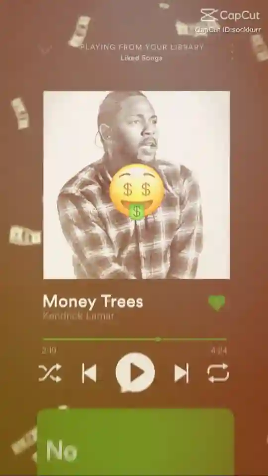 Rich Boy Capcut Template Video