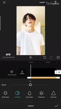 Adjust Filter Capcut Template Video