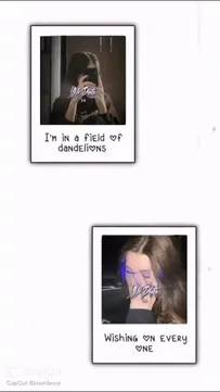 Dandelions Capcut Template Video