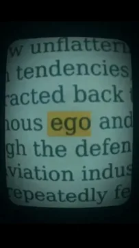 Ego Capcut Template Video