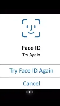 Face Id Capcut Template Video