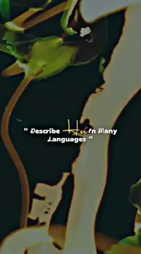 Hindi Ishq Hai Thamil Kadhale Capcut Template Video