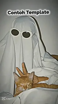 Lucky Prada Capcut Template Video