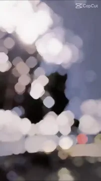 Mau Trend Thailand Capcut Template Video