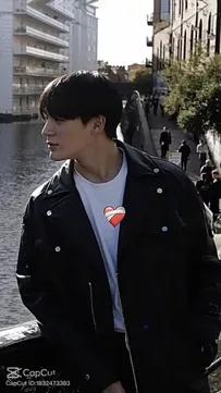 Mr Boombastic Capcut Template Video