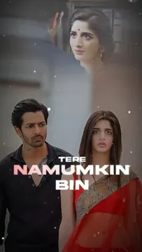 Sanam Teri Kasam Capcut Template Video