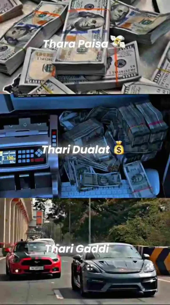 Thara Paisa Thari Gadi Capcut Template Video